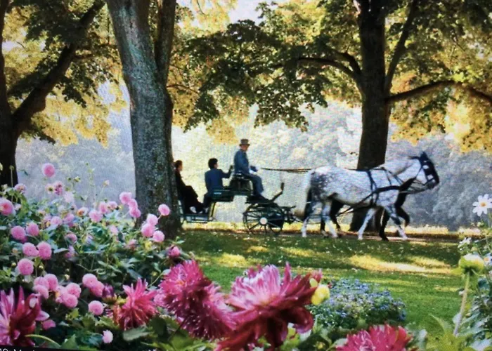 Modernes Appartement Baden-Baden